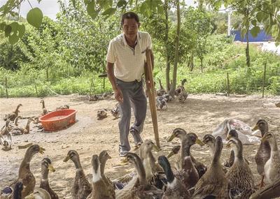 安徽省明光市 乡村旅游‘珍珠链’串起贫困村民好生活，助力家禽销售